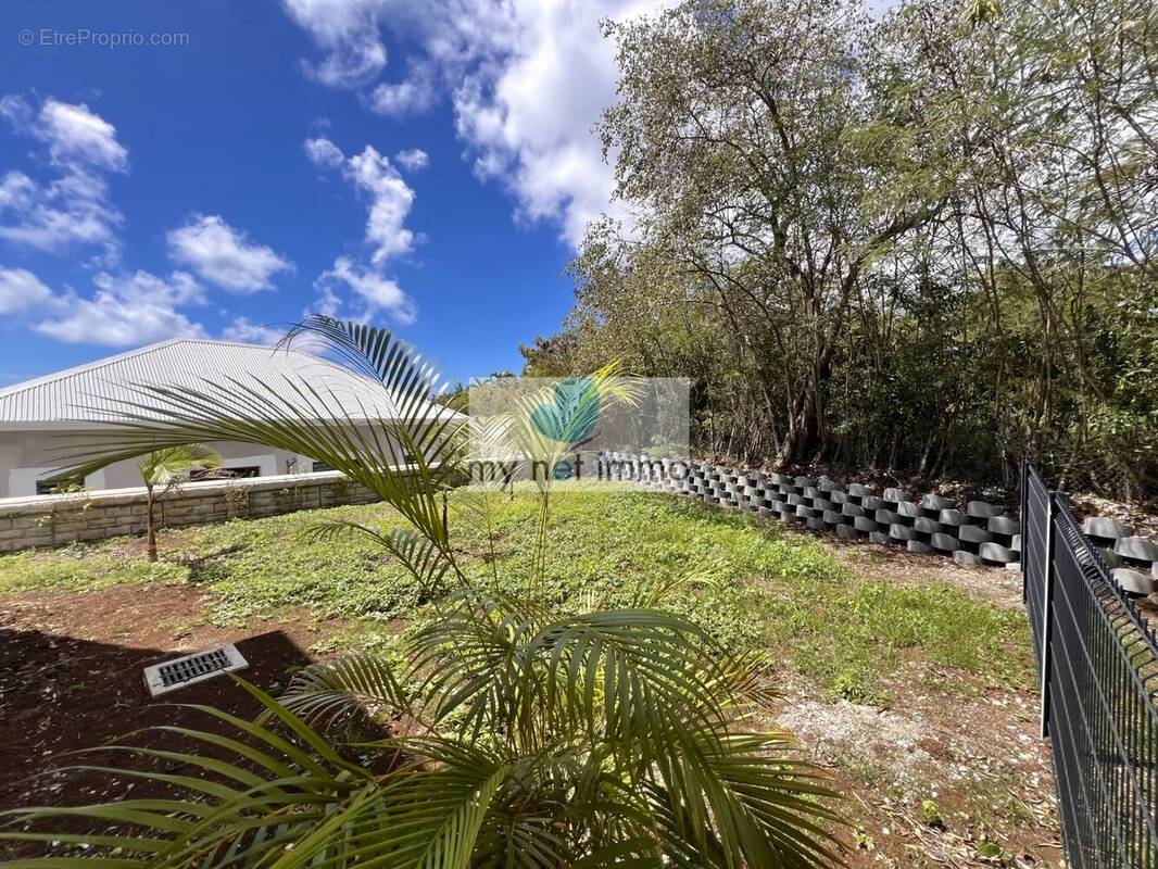 Appartement à SAINT-FRANCOIS