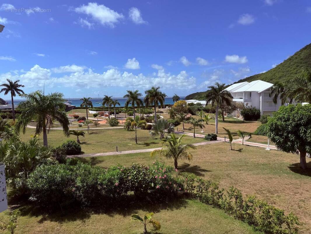 Photo 1 - Appartement à SAINT-MARTIN
