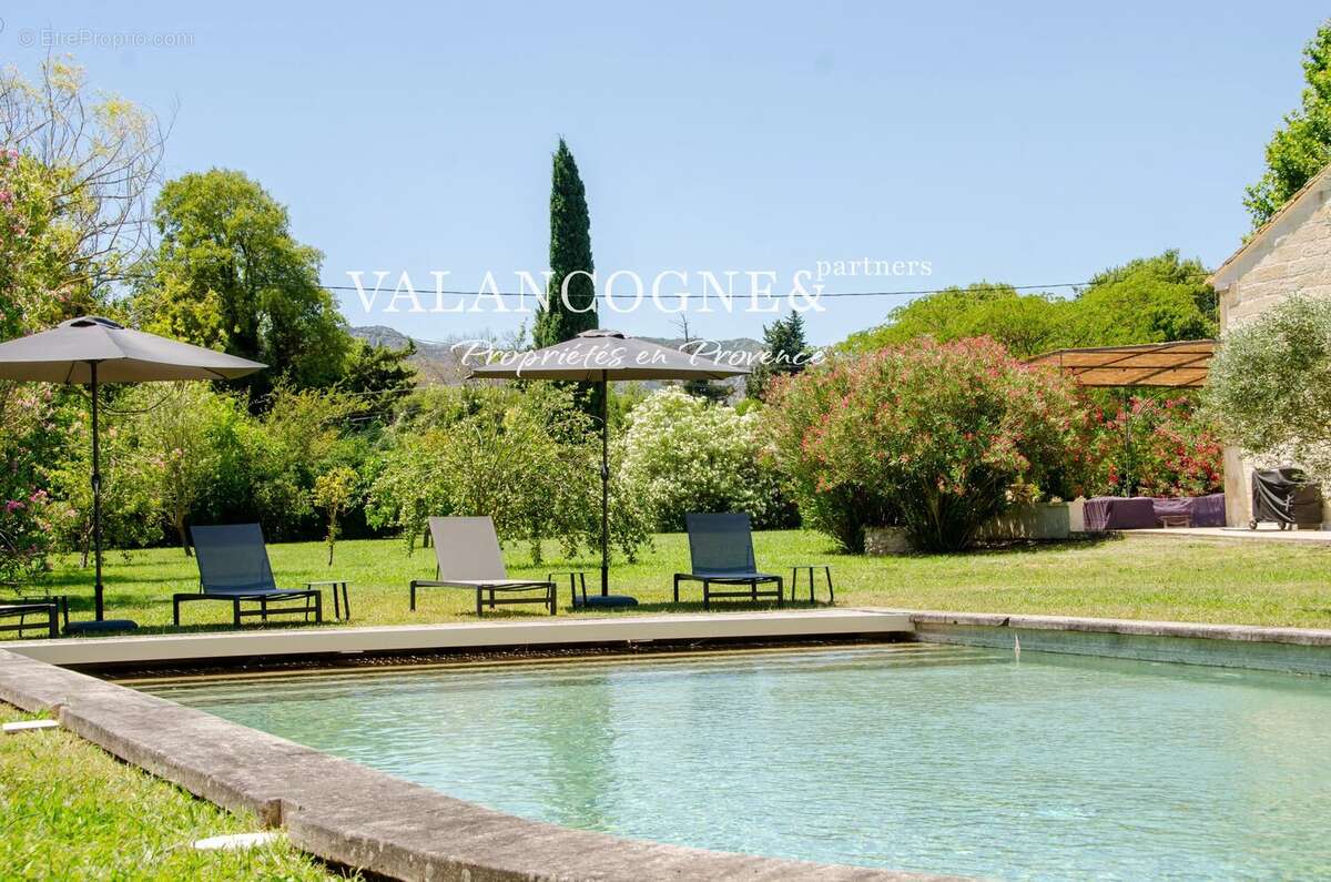 Mas provencal -  saint remy de provence - photo 21