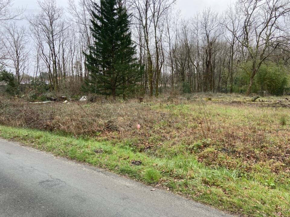 Terrain à EYSINES