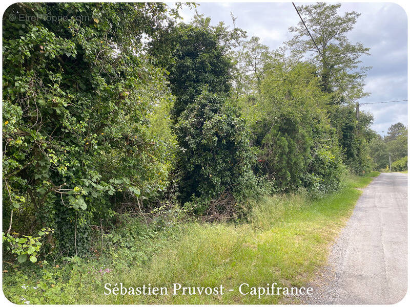 Terrain à SAINT-ROMAIN-ET-SAINT-CLEMENT