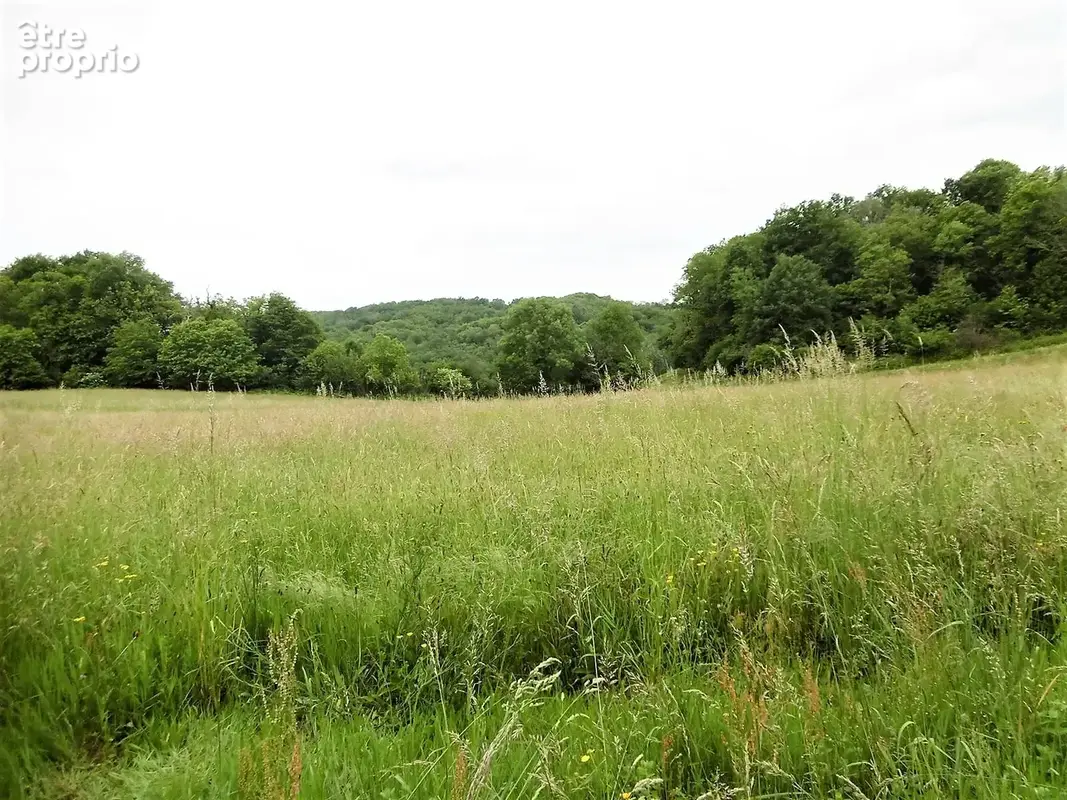 Terrain 2 400 m² à vendre à Vignols (19130) - photo 22