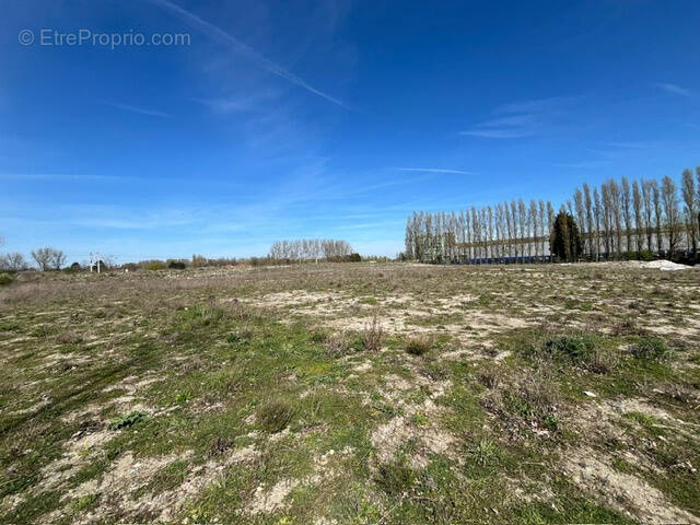 Terrain à DUNKERQUE