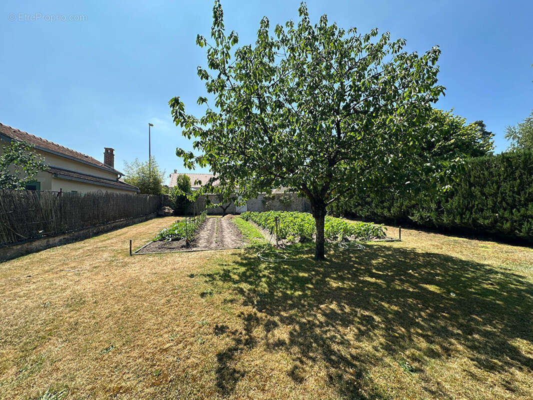 Maison 96m² à oncy-sur-école - photo 3