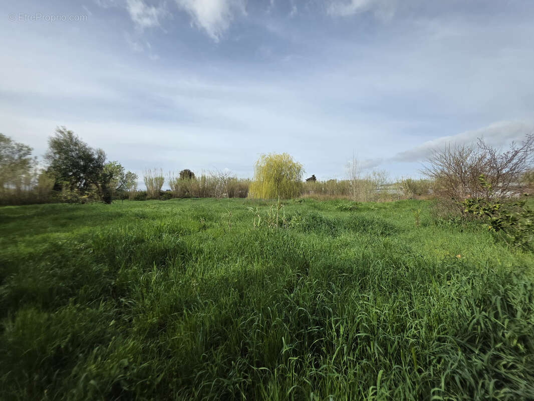 Terrain à VILLELONGUE-DE-LA-SALANQUE