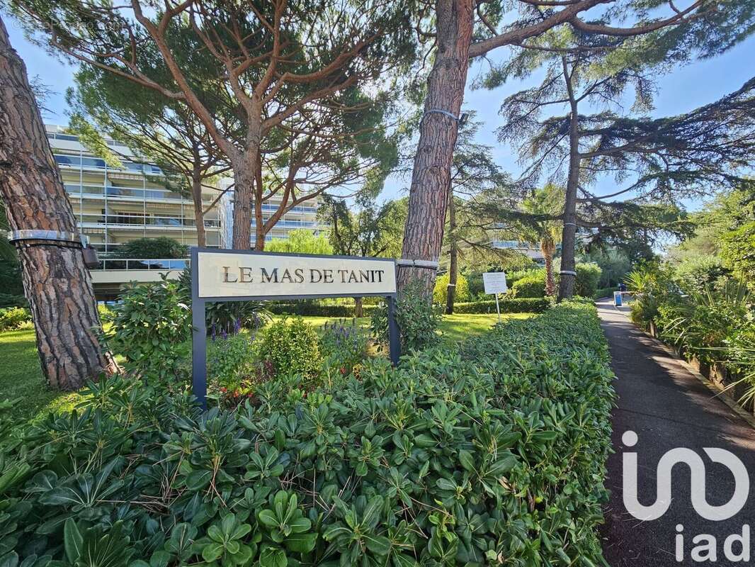 Photo 3 - Appartement à ANTIBES