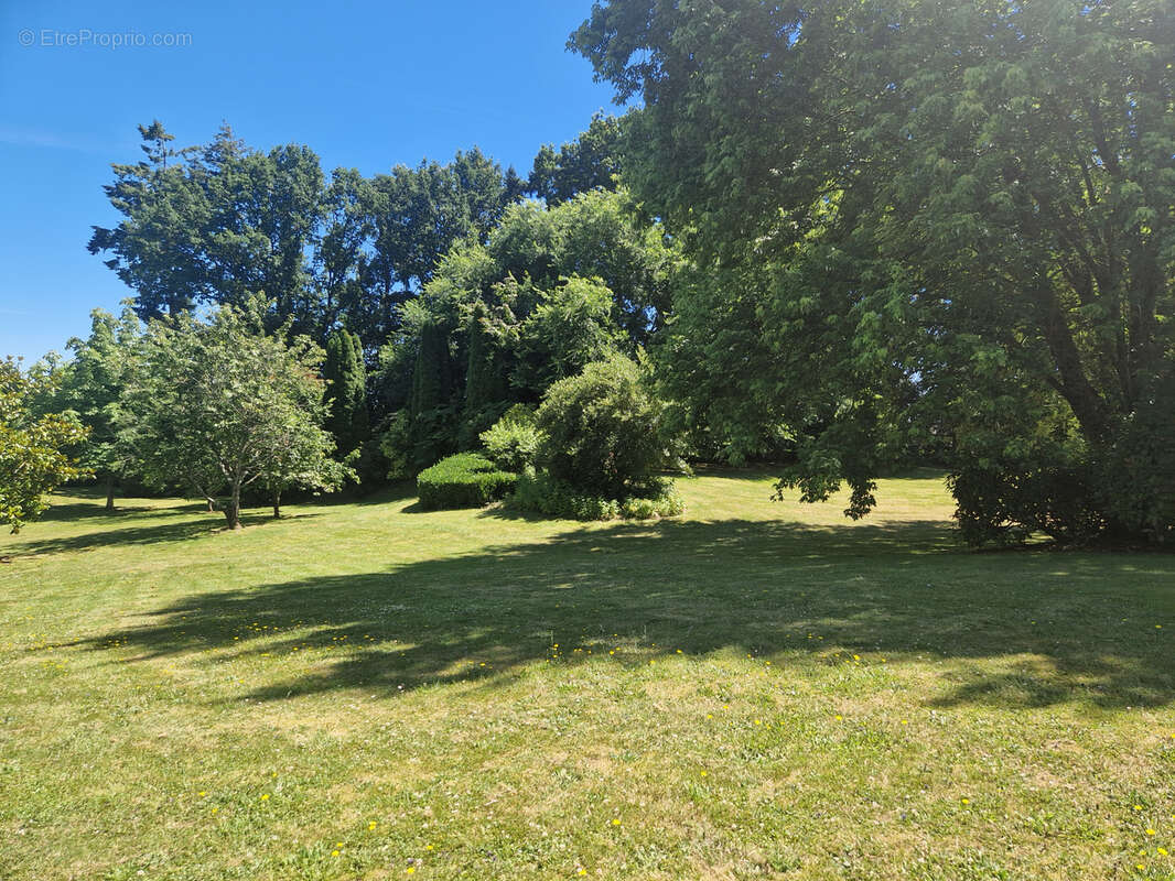 En bretagne!! propriete exceptionnelle avec piscine... - photo 17