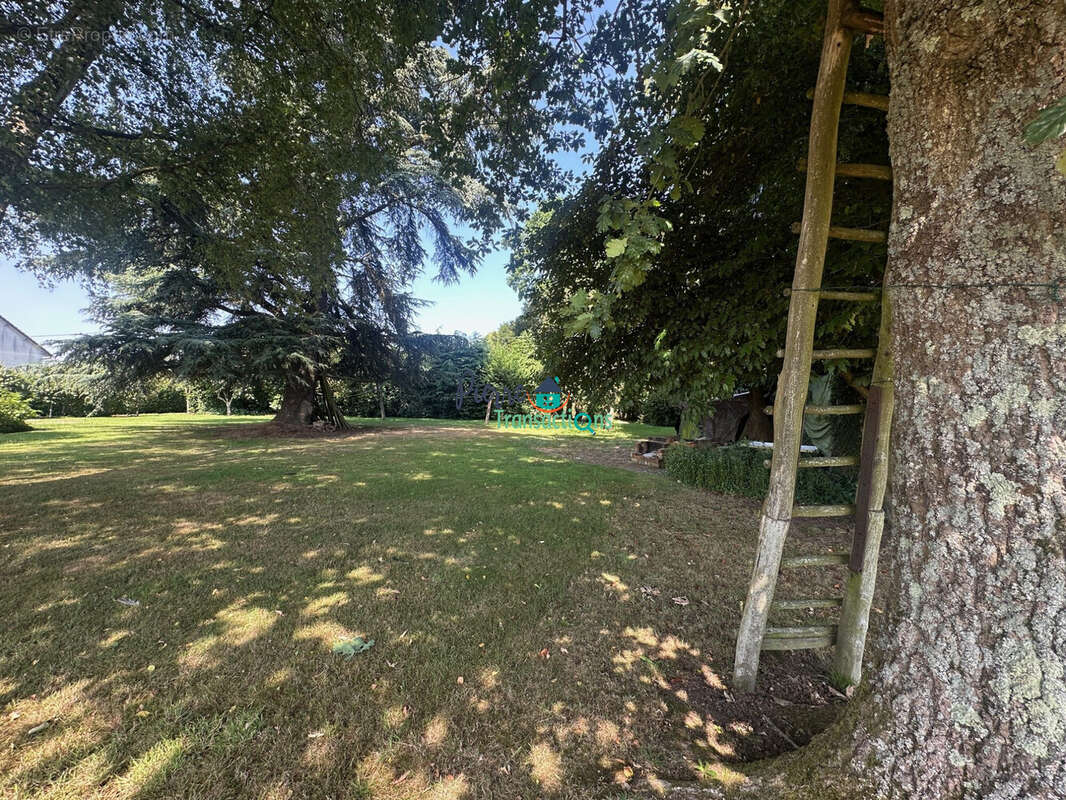 Terrain à LILLEBONNE