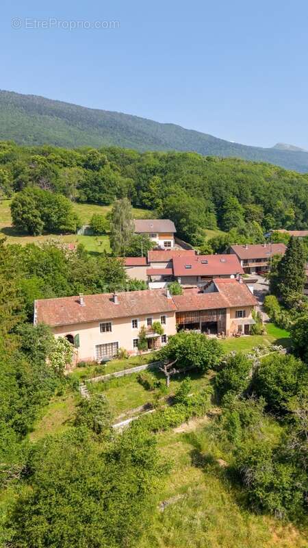 Maison à vendre 5 pièces PERON (01) - photo 31