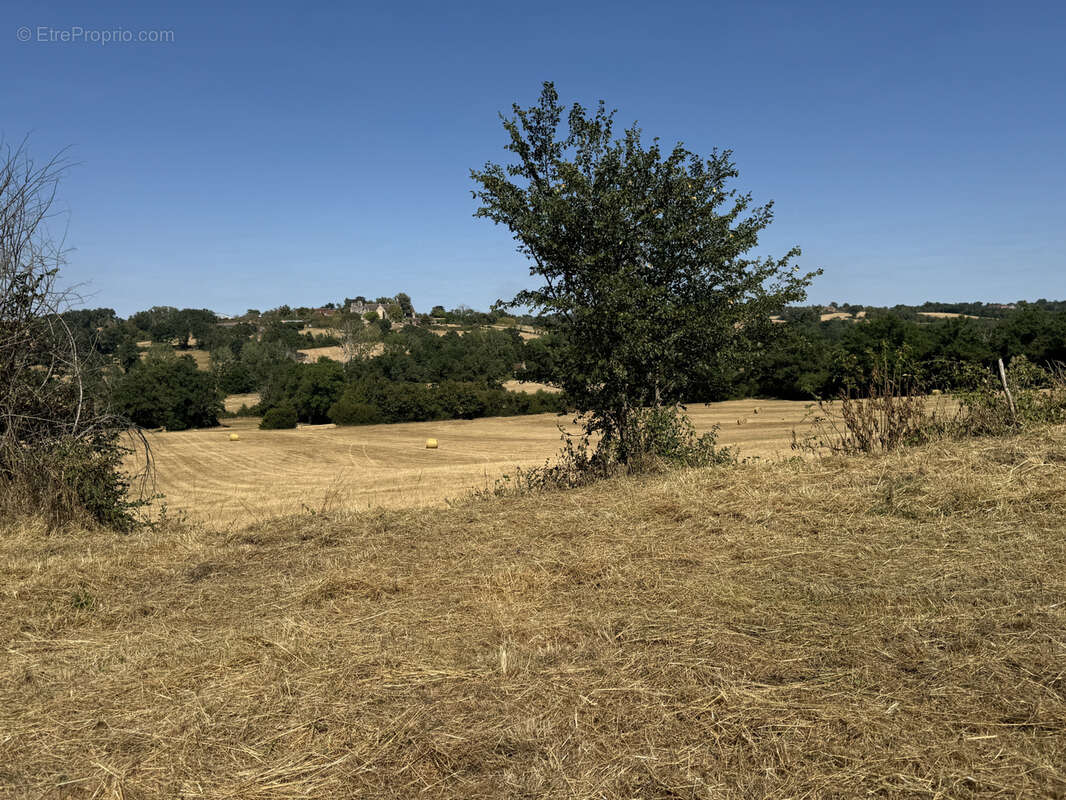 vue imprenable sur le château et l'église de Lys-Saint-Georges - photo 4