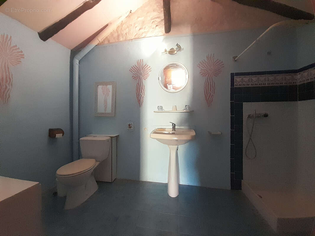 Maison à BRASSAC