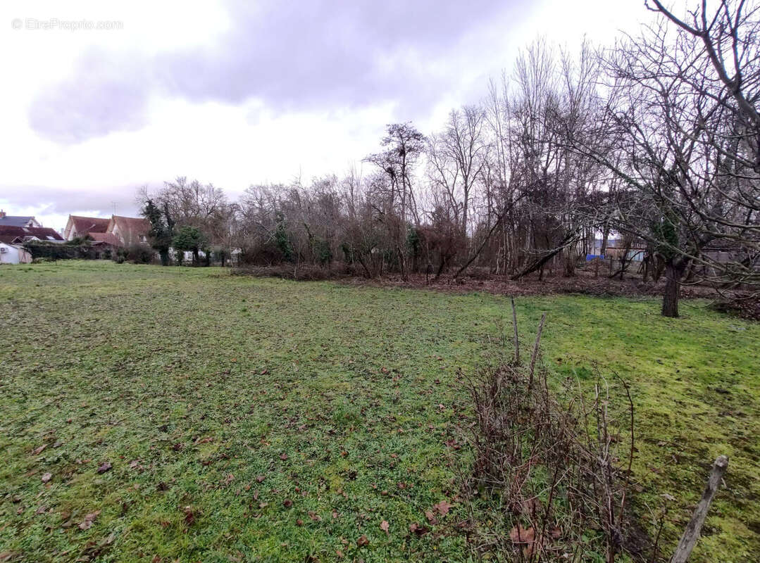 Terrain à MEUNG-SUR-LOIRE