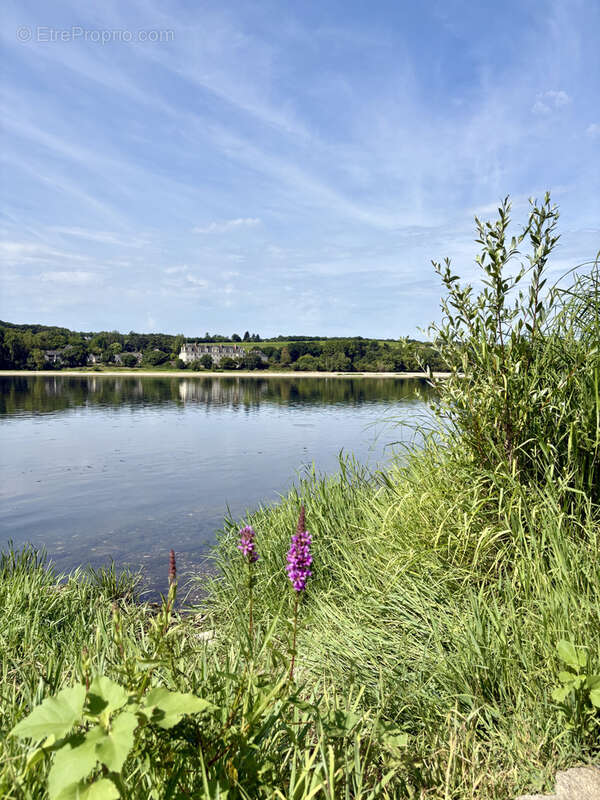 Maison à LA MENITRE