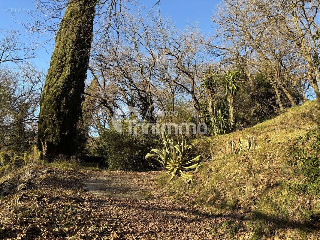 Terrain à CONTES
