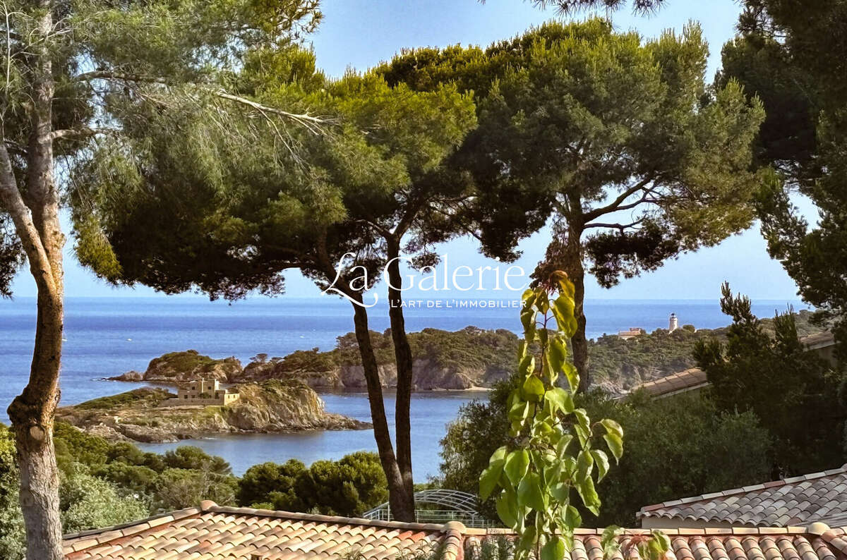 Maison à HYERES