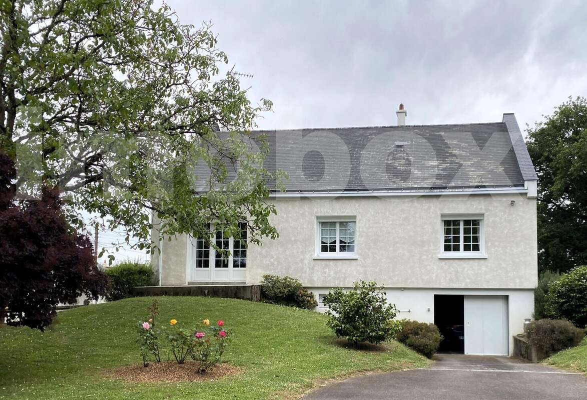 IMG_8470 - Maison à SAINT-GEREON