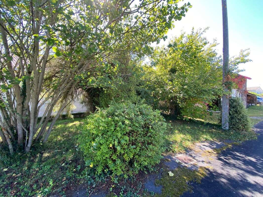 Photo 6 - Maison à MAGNAC-SUR-TOUVRE