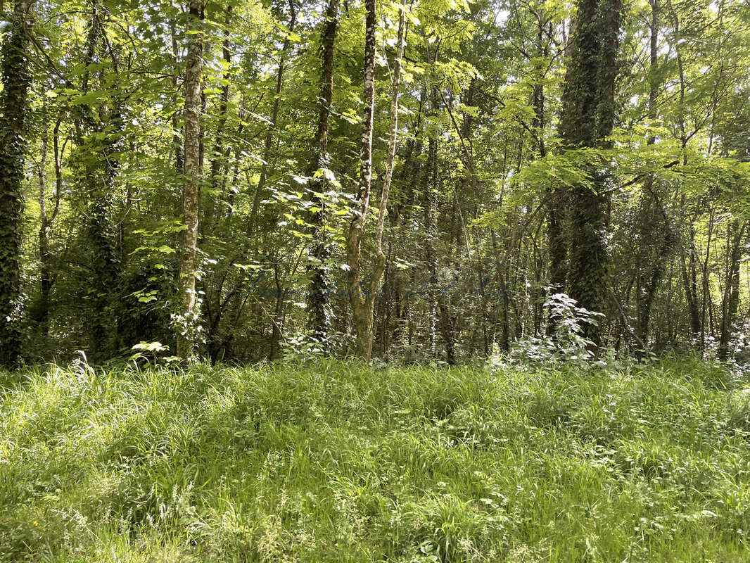 Terrain à TRELISSAC