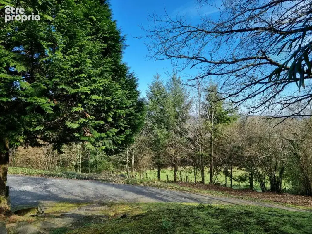 Albussac- Beynat -Grande maison sur 3000 m2 terrain - photo 5