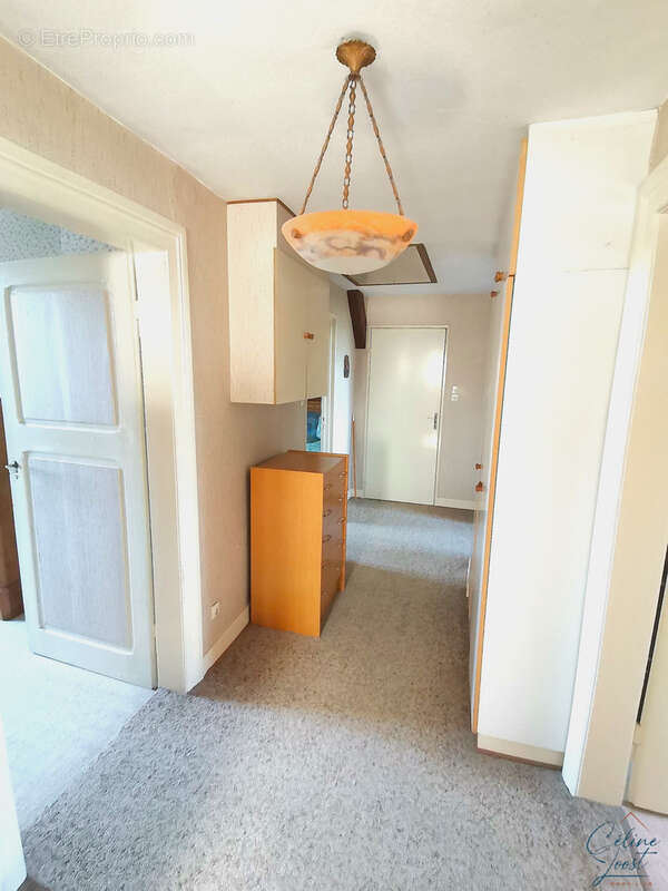 EXCLUSIF - Maison individuelle de 151 m2 hab. avec dépendances sur 11,24 ares entièrement constructibles ! - photo 11