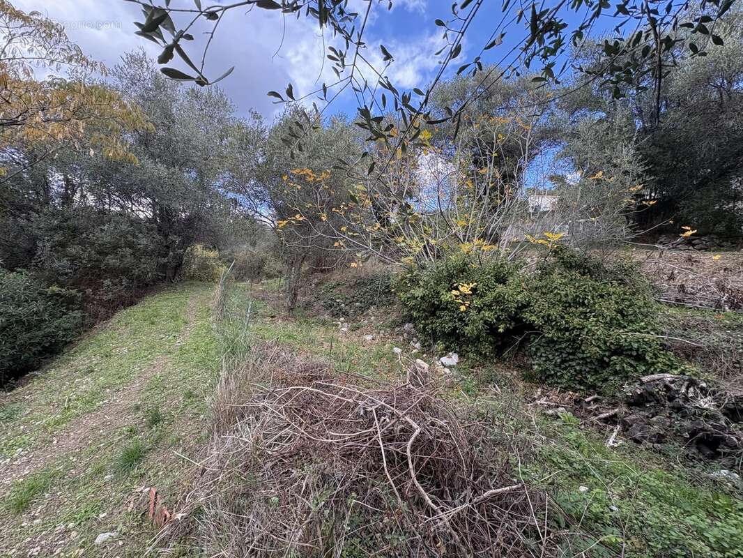 Appartement à SAINT-MARTIN-DU-VAR