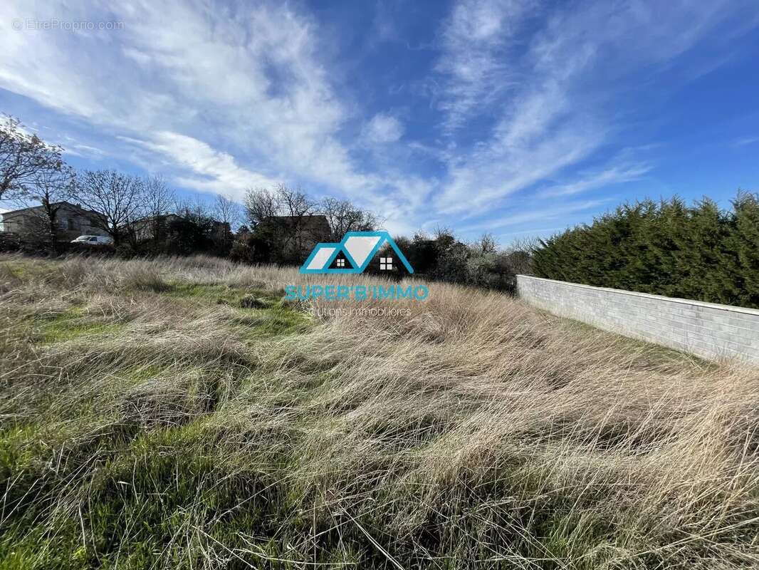 Terrain à BRIOUDE