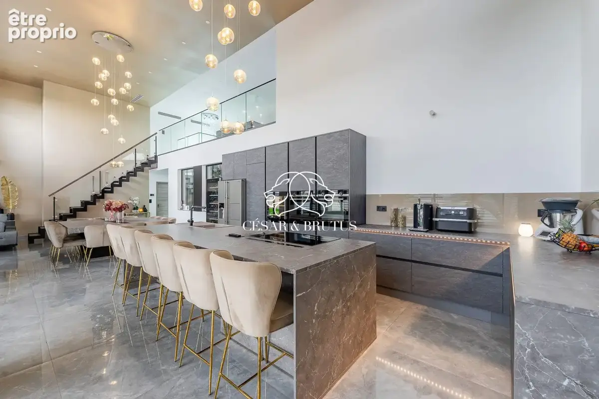Maison 8 pièces 272 m² à vendre à Satolas-Et-Bonce (38290) - photo 3
