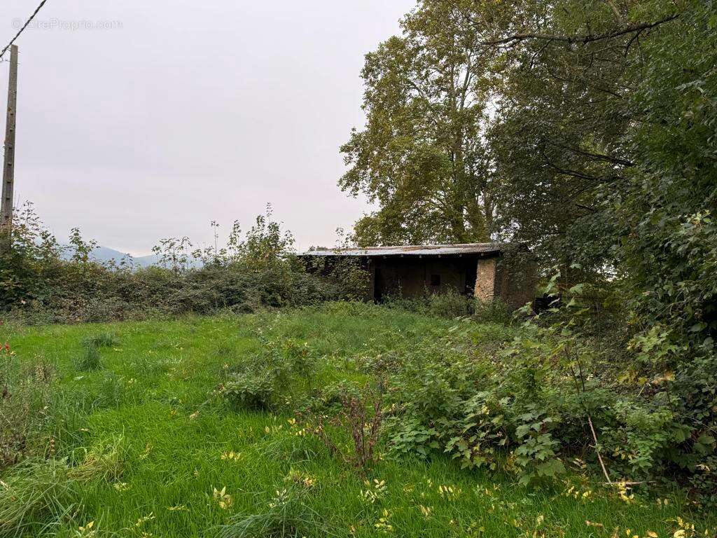 Photo 9 - Terrain à TOSSIAT