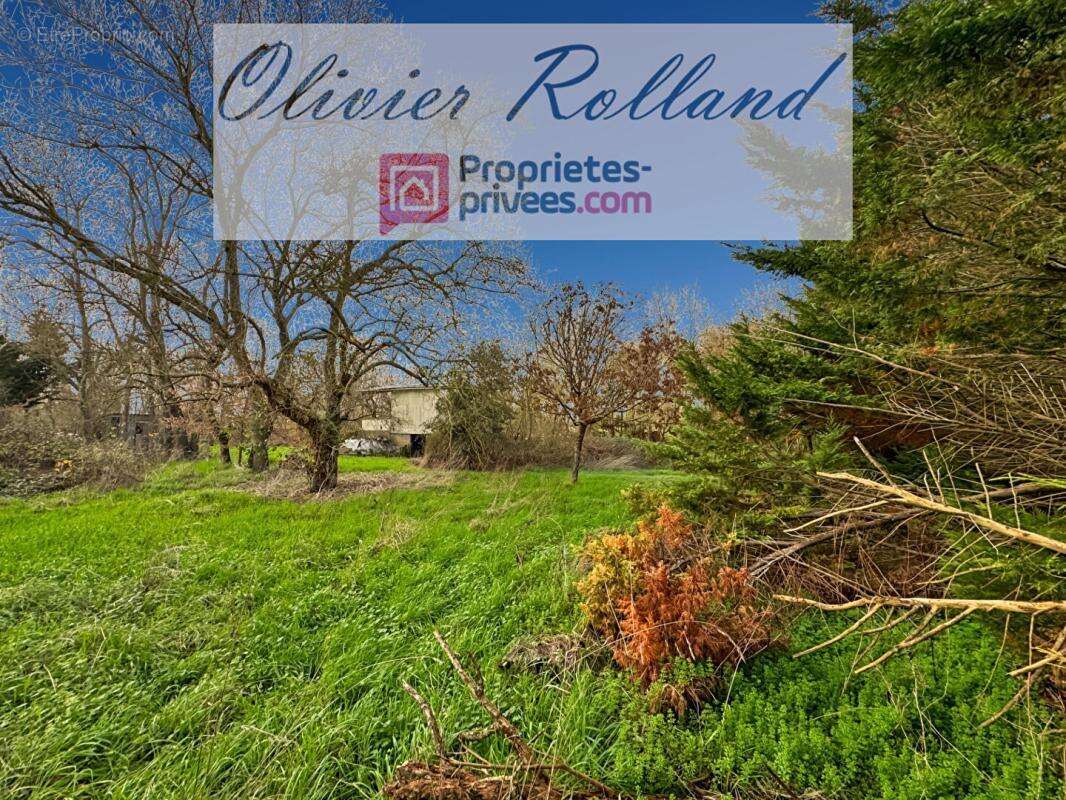 Maison à MONTREUIL-BELLAY