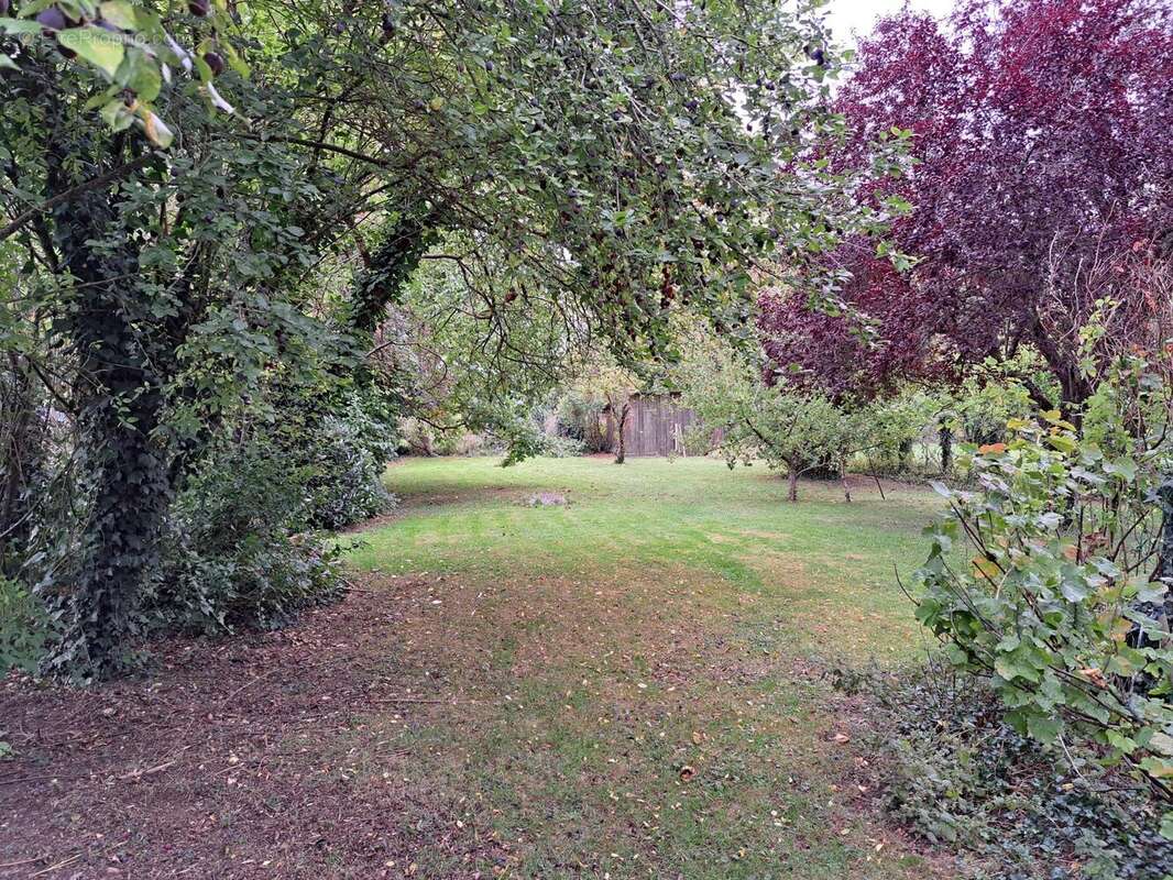 Photo 3 - Maison à MAREAU-AUX-BOIS