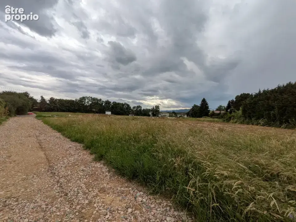 Terrain à LISSIEU