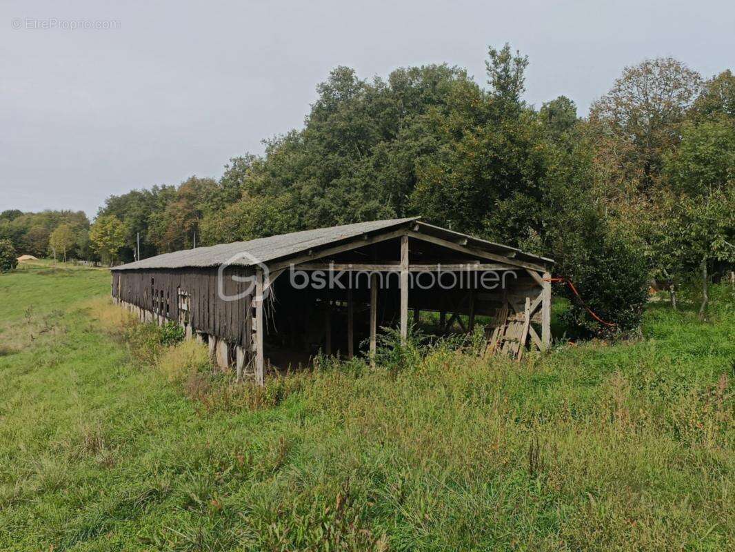 Maison à VILLEFRANCHE-DU-PERIGORD