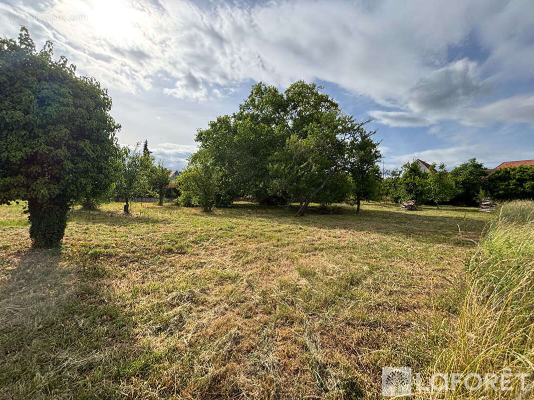 Terrain à BERNARDSWILLER