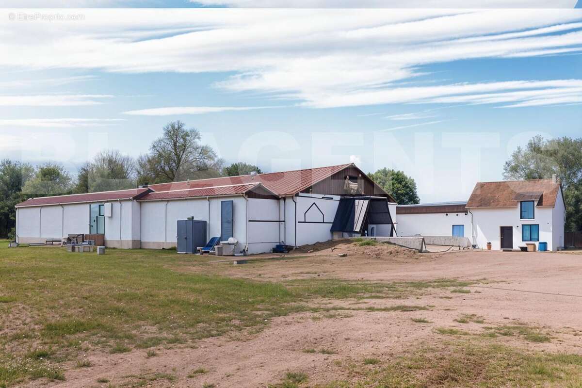 4 - Lionel MARC - BL AGENTS - JJS BRAYE (2) - Commerce à RICHELIEU