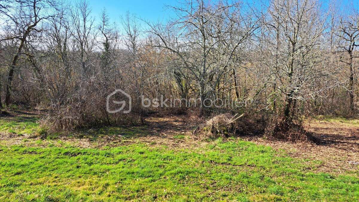 Maison à VERTEILLAC