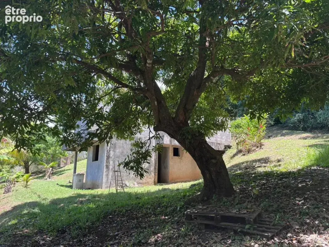 À Goyave, découvrez une propriété au fort potentiel ! Sur une parcelle verdoyante de 2 938 m², cette maison offre 4 chambres, de - photo 14