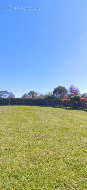 Terrain à VILLEMUR-SUR-TARN