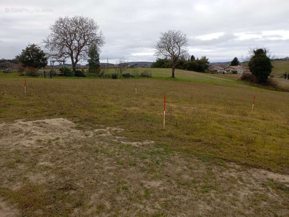 Terrain 731 m² à Hauterives  - photo 3