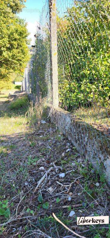 Terrain à LESCURE-D&#039;ALBIGEOIS