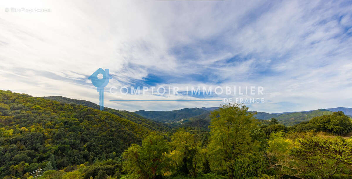 Mur commerciaux panoramique cevennes meridionnale - photo 8