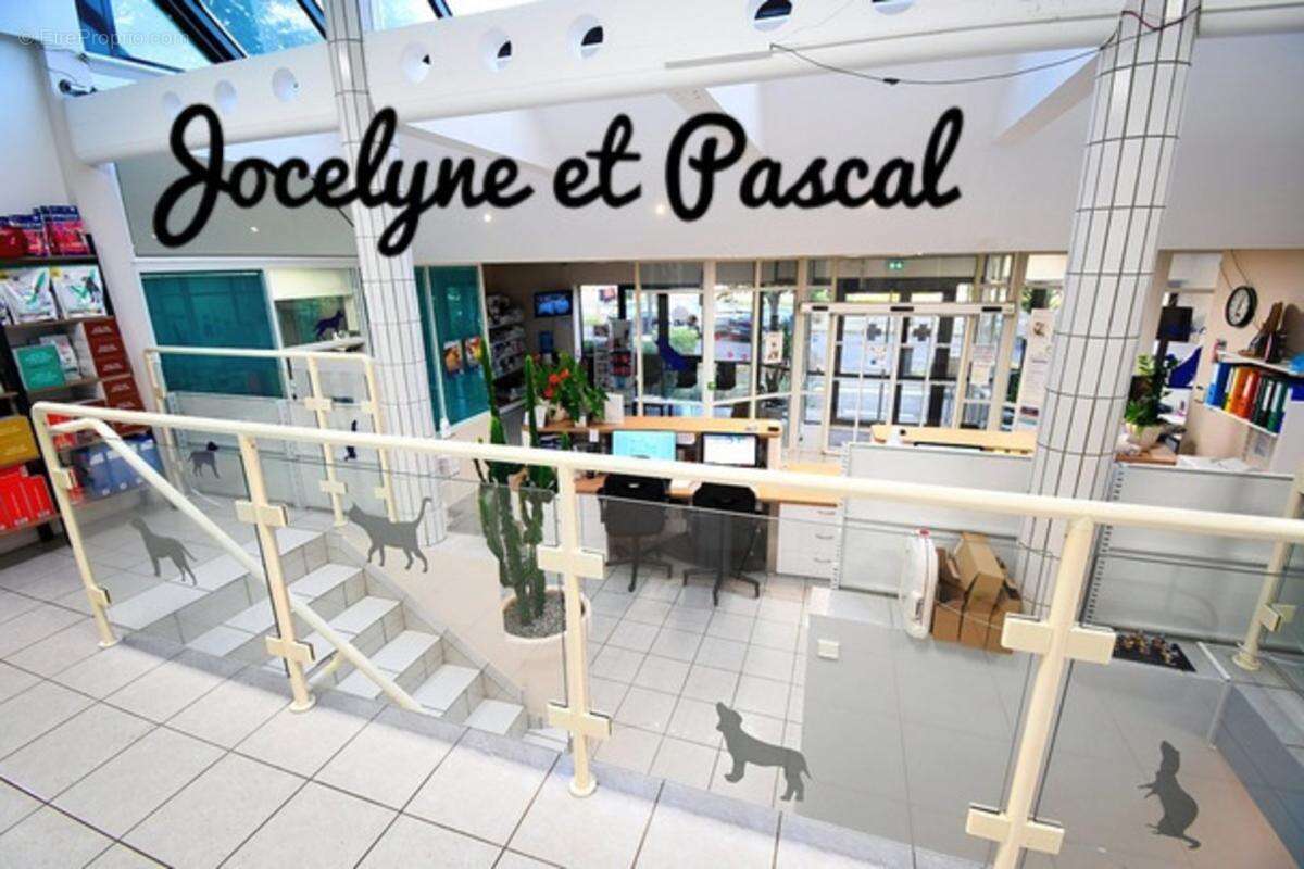 Clinique vétérinaire de 300 m² sur terrain de 1 194 m² – longwy - photo 3