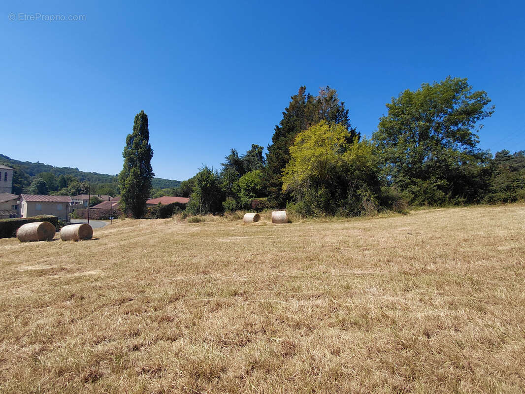 Terrain à CHATEAU-L'EVEQUE