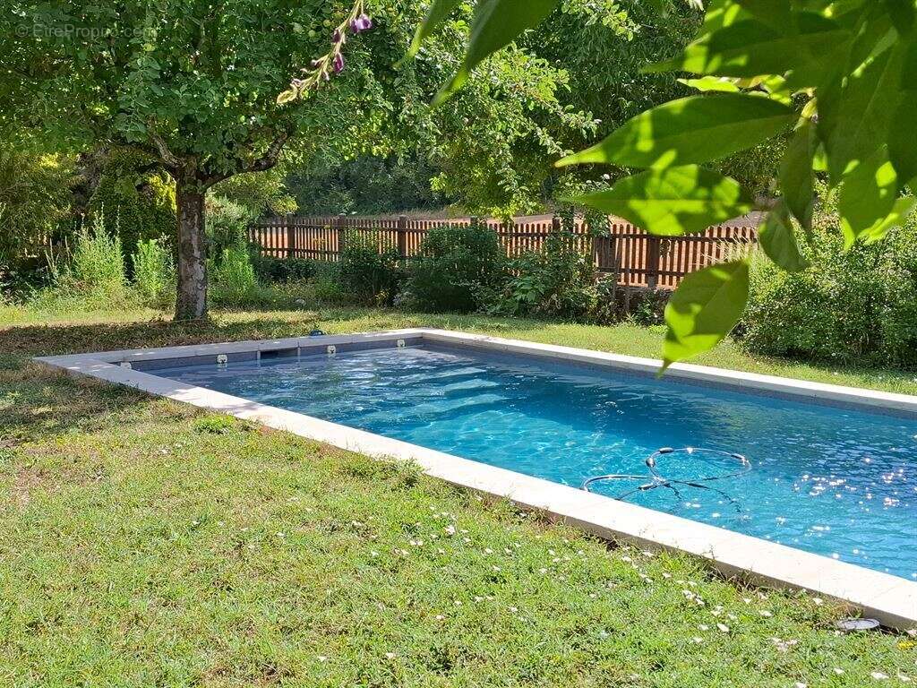 Indre et loire - chinon / thizay 37500 - maison 234 m² - 5 ch - deux gites - piscine - parc 8 000 m² - photo 19