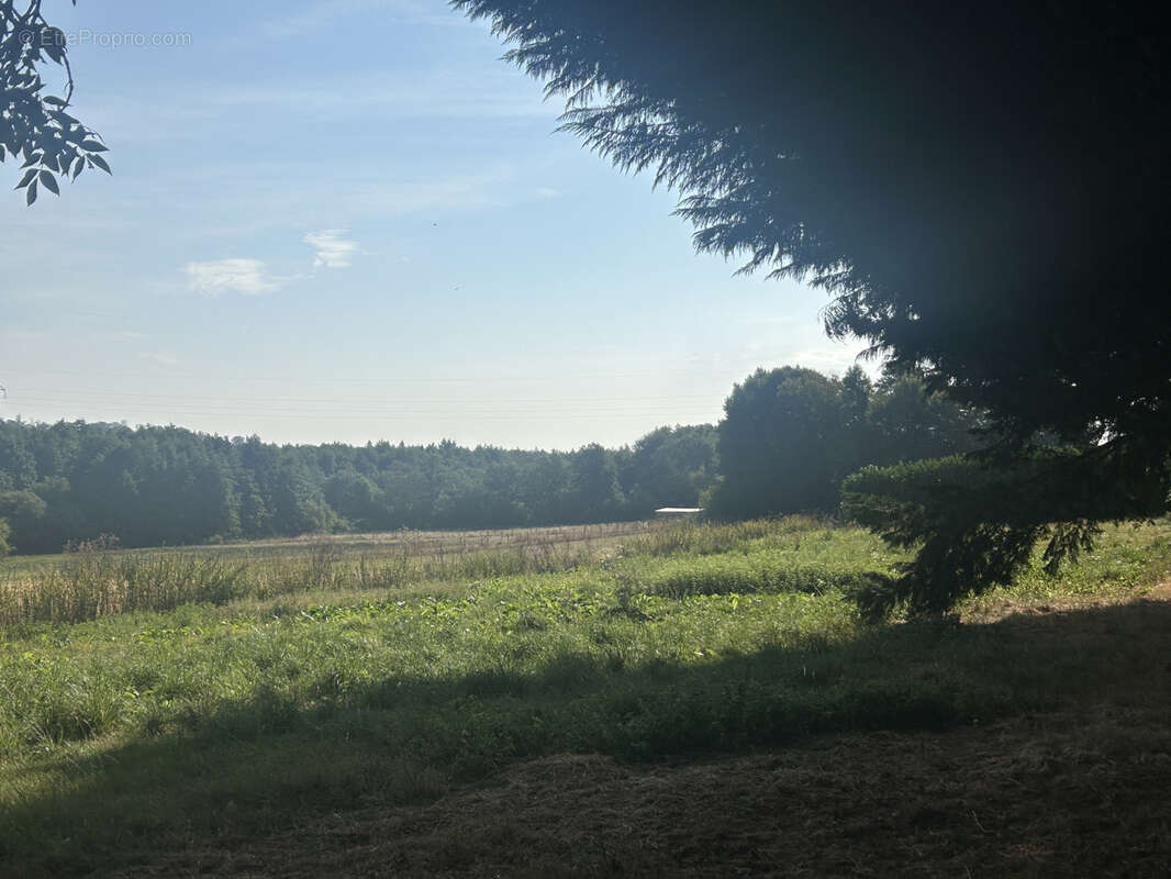 Propriété 4,32 ha : maison ancienne rénovée, remises, parc arboré, pré - photo 21