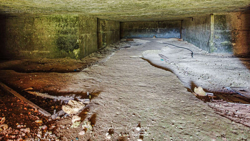 Maison à SAINT-LOUIS-EN-L&#039;ISLE