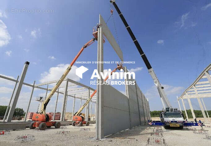 Commerce à MONTAUROUX