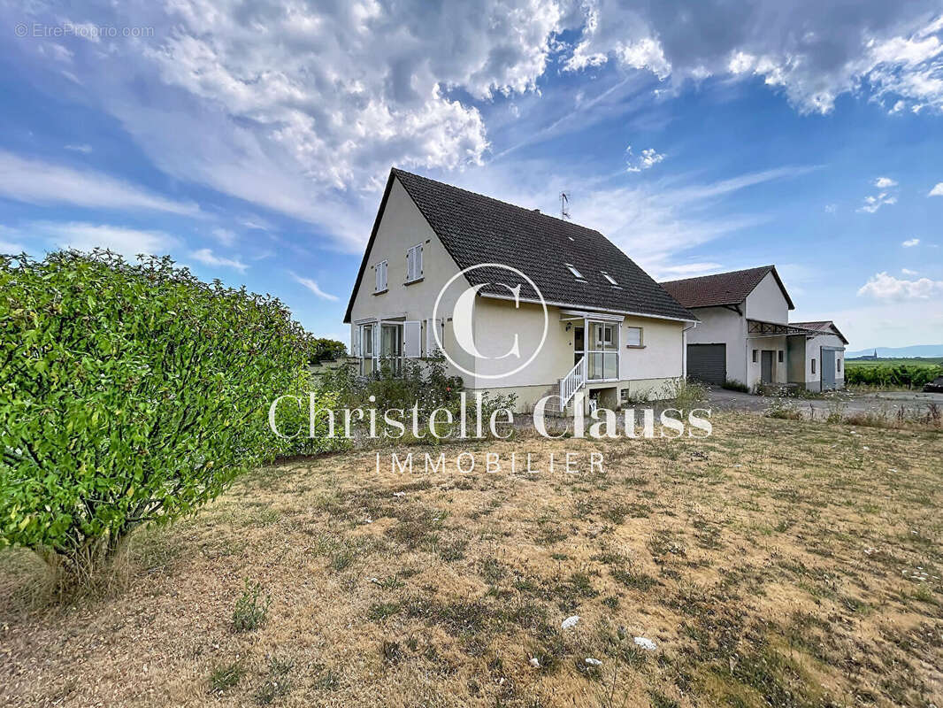 Maison Saint Hippolyte 217 m2 - photo 2