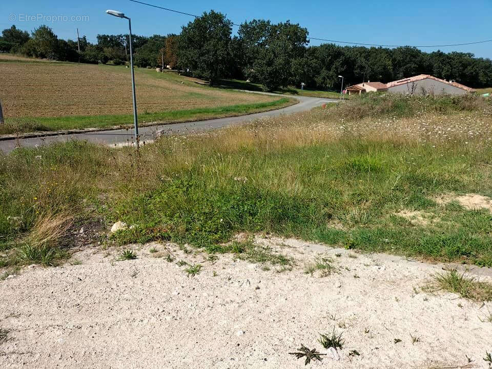 Terrain constructible Mauvezin(32120) 952m² - photo 3