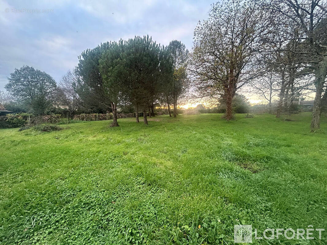 Terrain à AMBARES-ET-LAGRAVE
