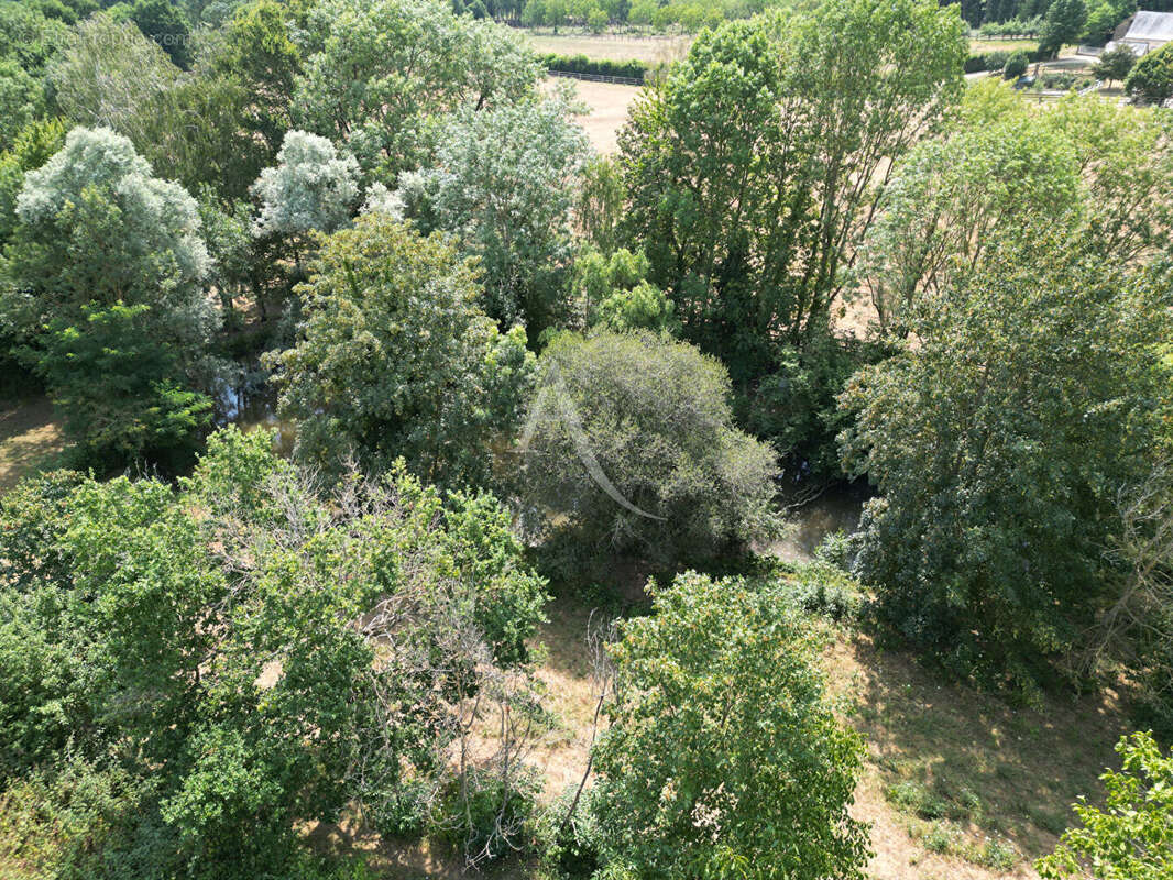 Terrain Loigne Sur Mayenne 23946 m2 - photo 18